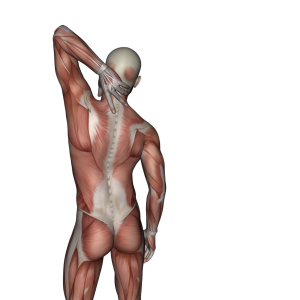 neck pain