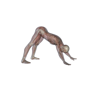 stretch5