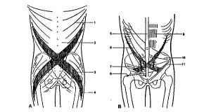 fig2