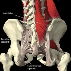 fig6